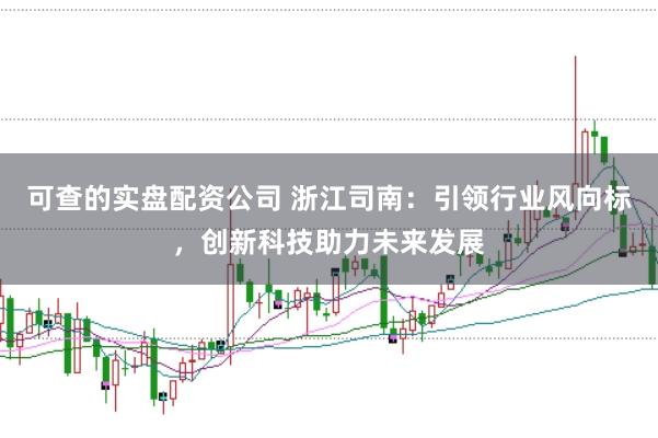 可查的实盘配资公司 浙江司南：引领行业风向标，创新科技助力未来发展