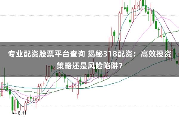 专业配资股票平台查询 揭秘318配资：高效投资策略还是风险陷阱？