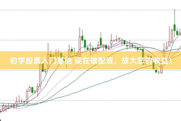 初学股票入门基础 现在做配资，放大您的收益！